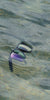 Preview image | {{ image.alt }}