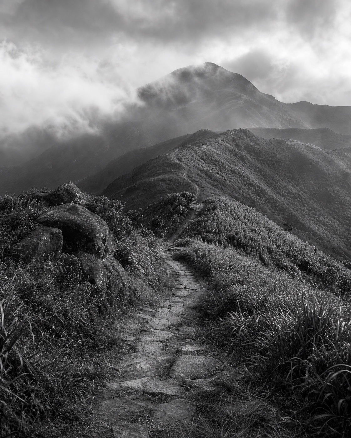 Misty ridgeline hiking trail with stone steps